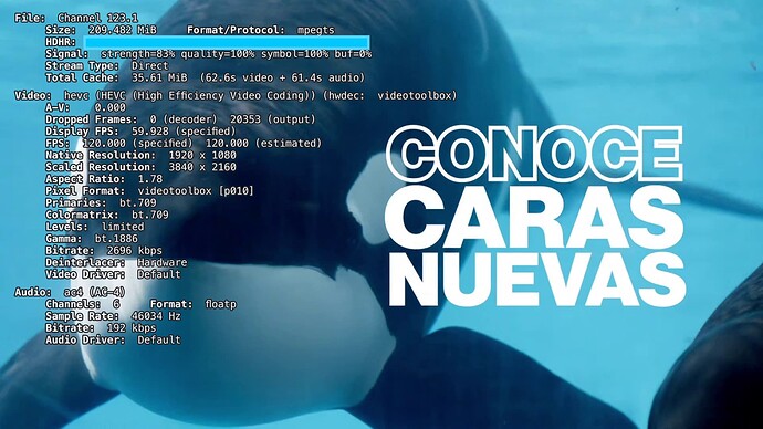 vlcsnap-2024-05-26-16h41m48s467