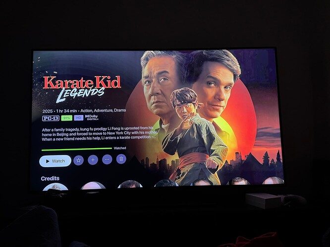 Karate Kid screenshot