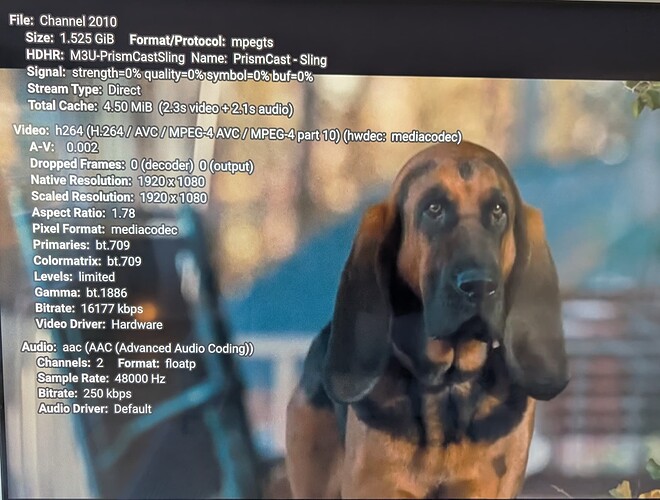 PXL_20260313_203803968.MP