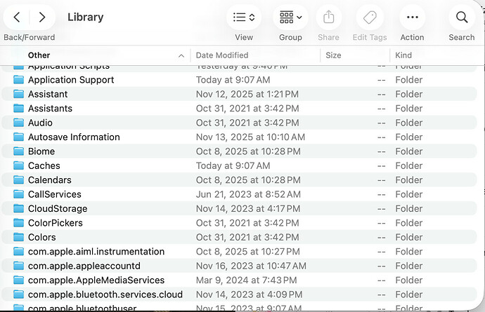 Screenshot 2025-11-17 at 1.18.47 PM