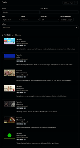 Screenshot 2025-04-13 at 14-03-43 Channels Playlists